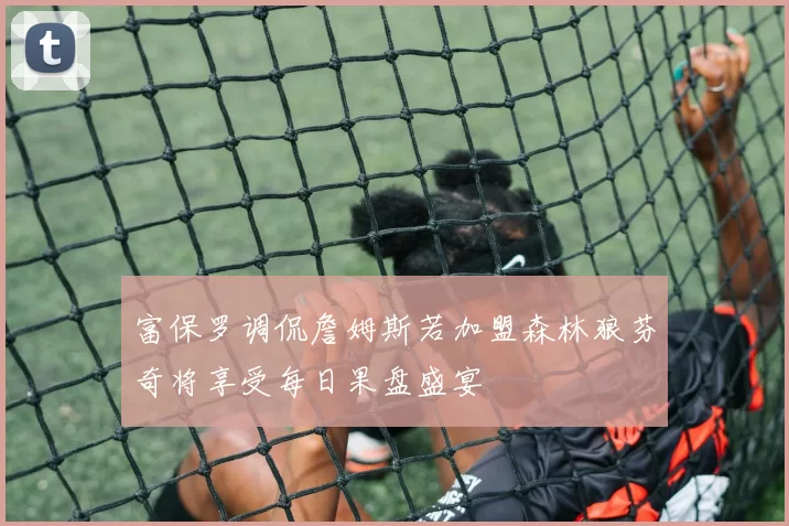 富保罗调侃詹姆斯若加盟森林狼芬奇将享受每日果盘盛宴